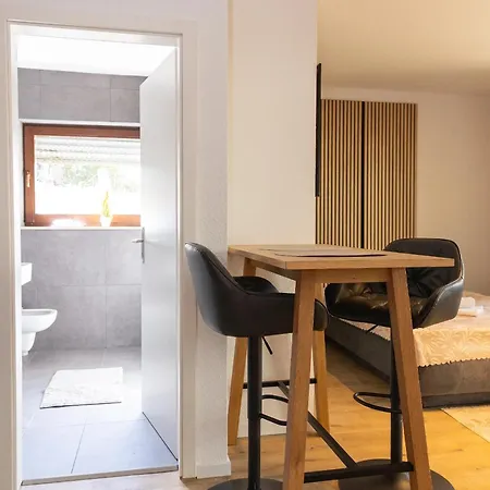 Appartement 12-modern Saniertes Einzimmerapartment Mit Eigenem Garten Inklusive Wlan Wiesbaden