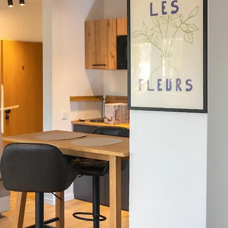 Appartement 12-modern Saniertes Einzimmerapartment Mit Eigenem Garten Inklusive Wlan Wiesbaden