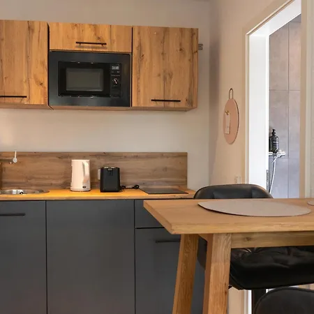 Appartement 12-modern Saniertes Einzimmerapartment Mit Eigenem Garten Inklusive Wlan Wiesbaden