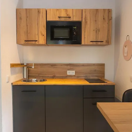 12-modern Saniertes Einzimmerapartment Mit Eigenem Garten Inklusive Wlan