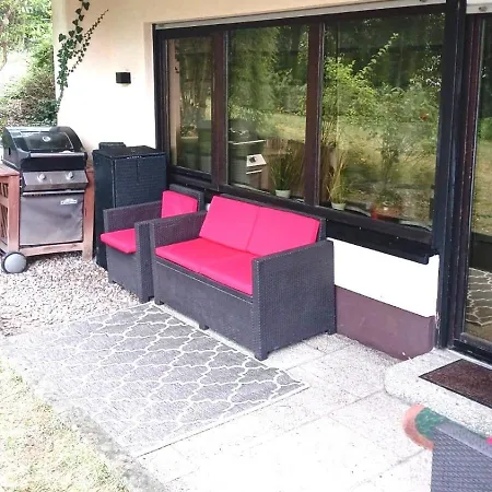 12-modern Saniertes Einzimmerapartment Mit Eigenem Garten Inklusive Wlan * Wiesbaden